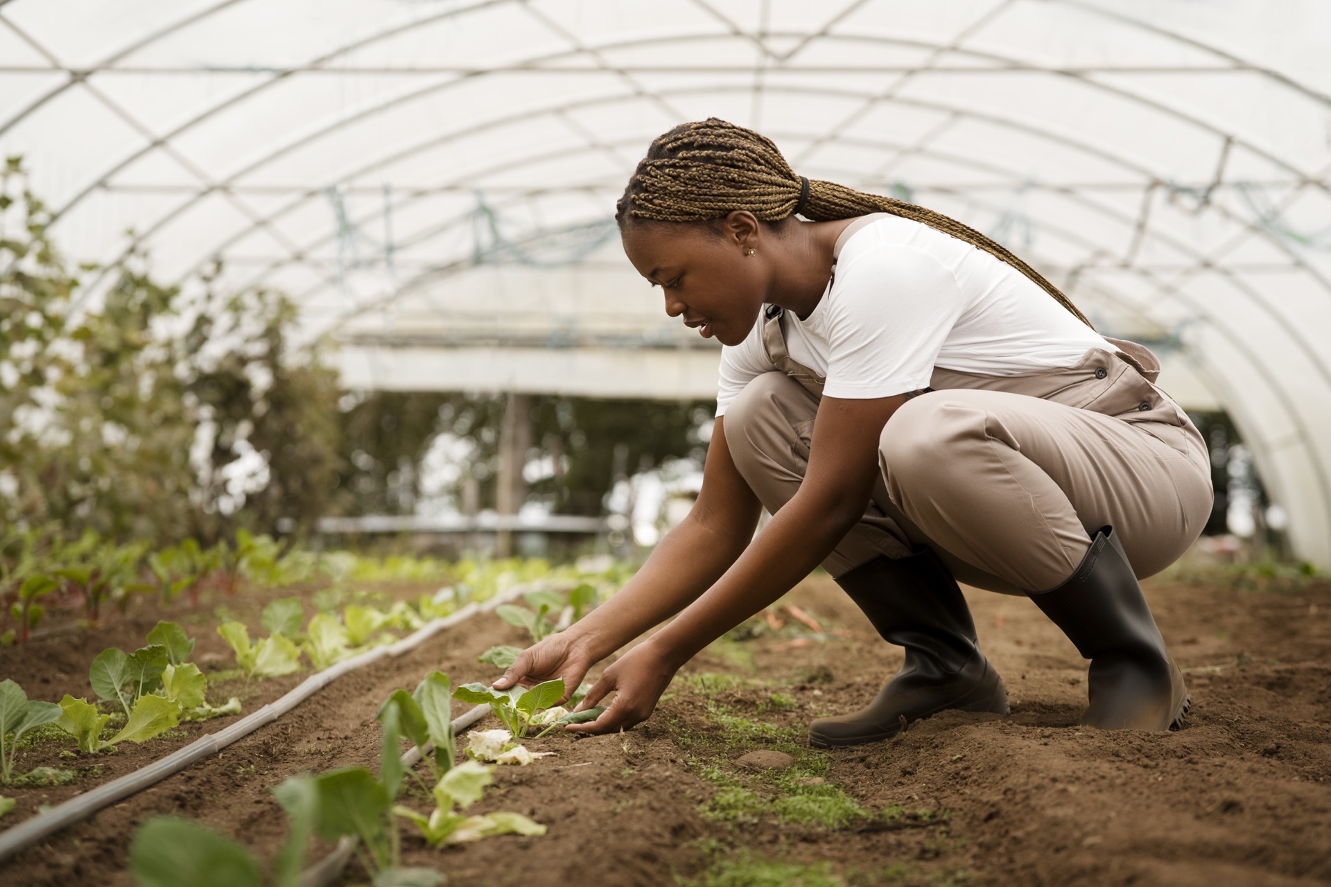 Agroécologie Pratique