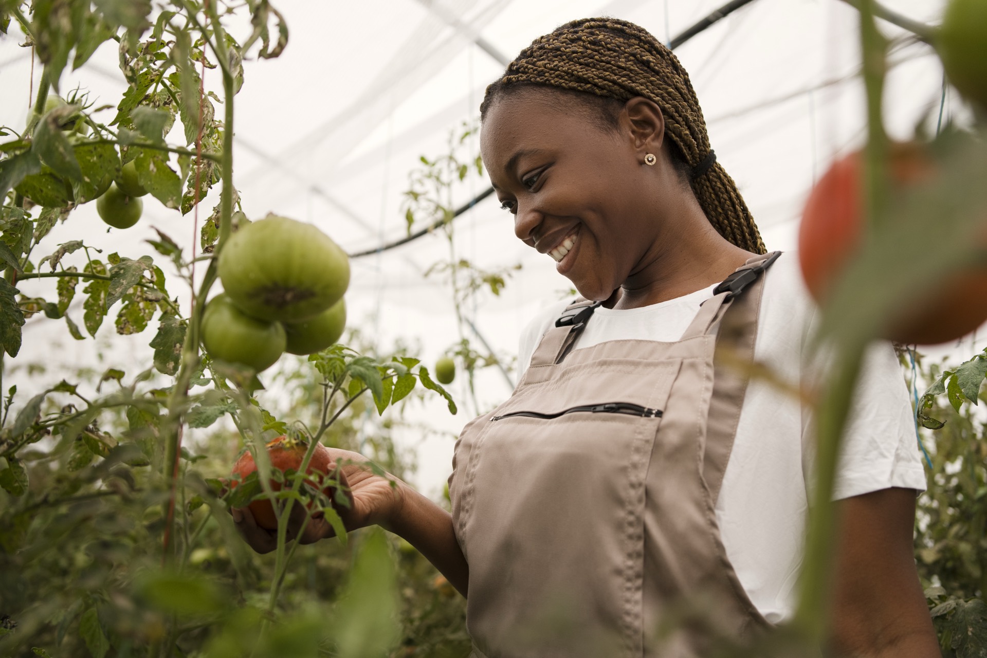 Green Days 2026 : une nouvelle session pour former les agripreneurs du Borgou